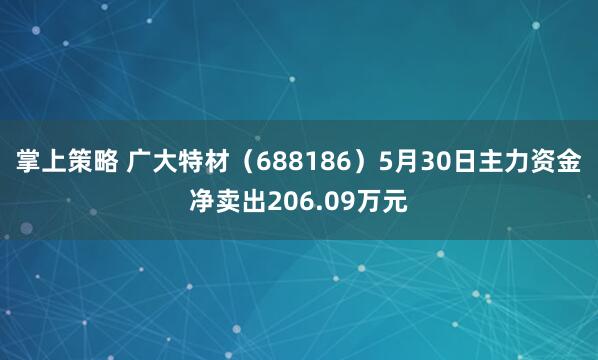 掌上策略 广大特材（688186）5月30日主力资金净卖出206.09万元