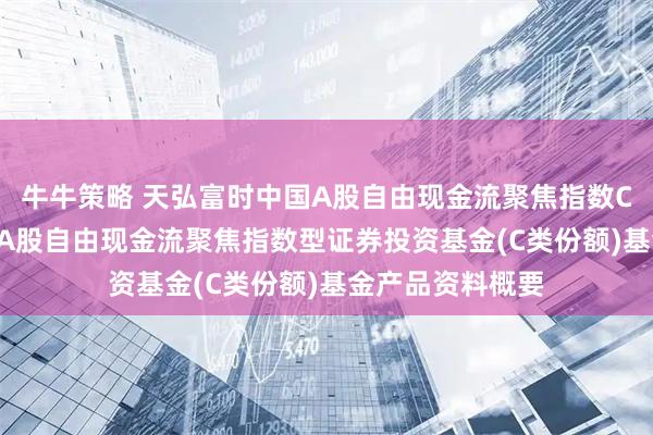 牛牛策略 天弘富时中国A股自由现金流聚焦指数C: 天弘富时中国A股自由现金流聚焦指数型证券投资基金(C类份额)基金产品资料概要