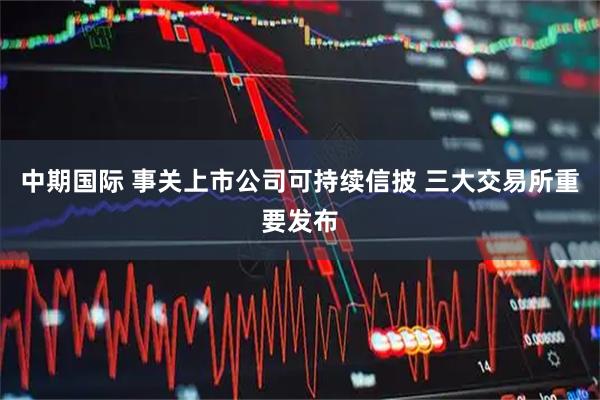 中期国际 事关上市公司可持续信披 三大交易所重要发布