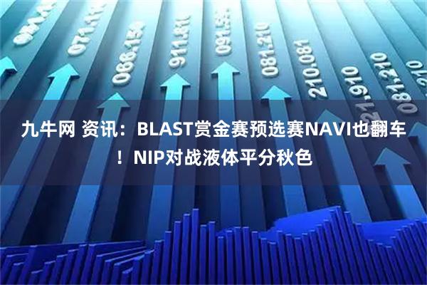 九牛网 资讯：BLAST赏金赛预选赛NAVI也翻车！NIP对战液体平分秋色
