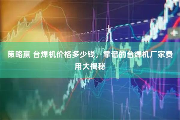 策略赢 台焊机价格多少钱，靠谱的台焊机厂家费用大揭秘